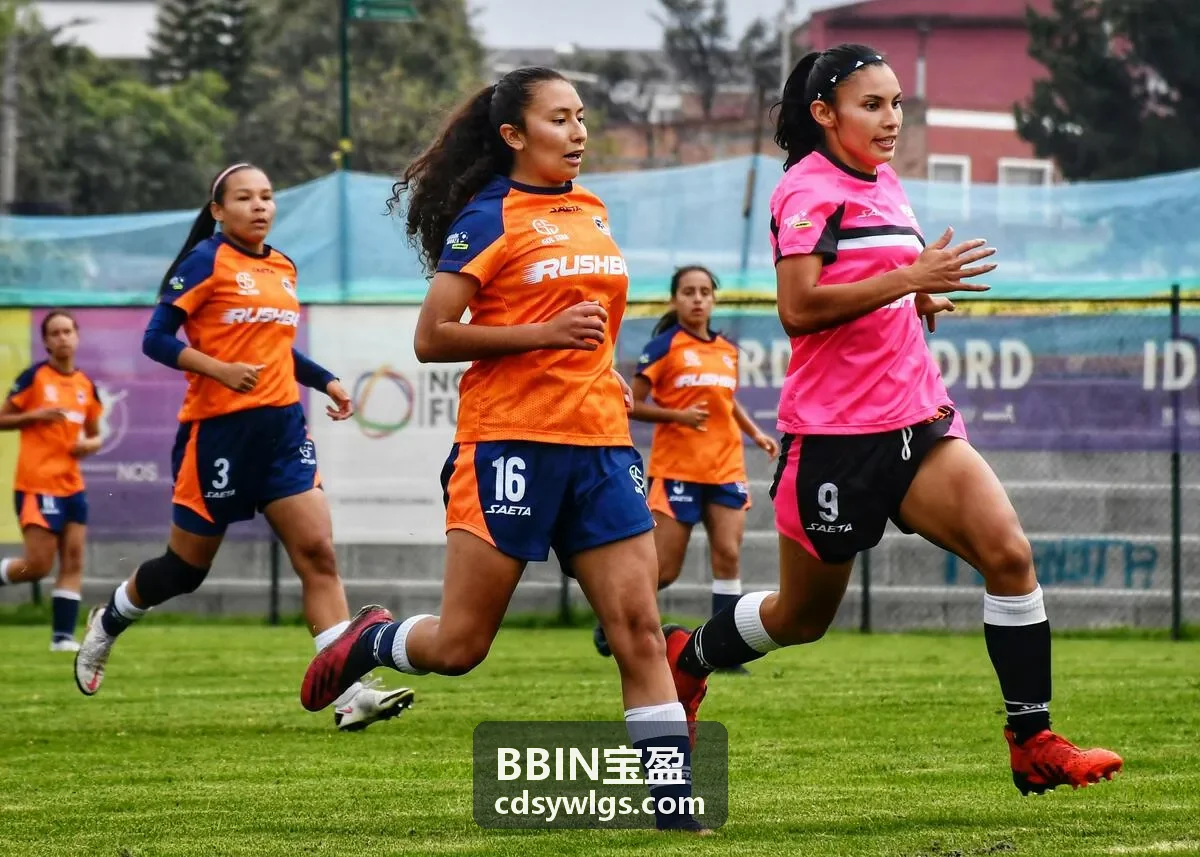 BBIN宝盈数据服务
